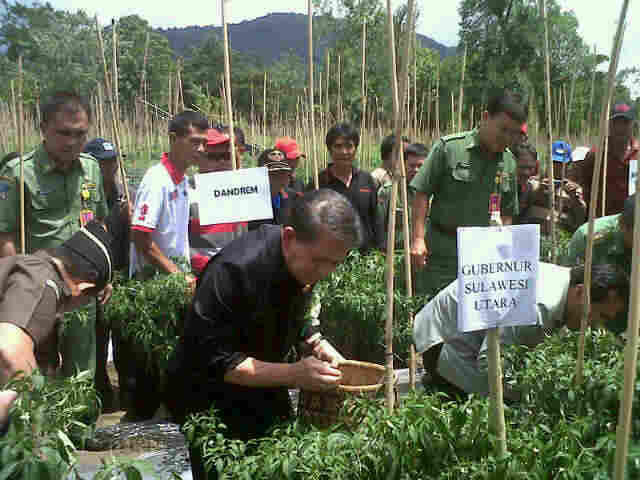 Panen Cabe di Minahasa, Mentan Ajak Warga Budayakan Menanam